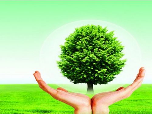 康加凈除甲醛產(chǎn)品展示 產(chǎn)品相冊 品牌詳情