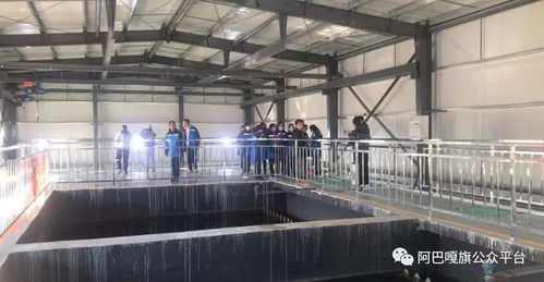 走進污水處理廠 錫林郭勒盟阿巴嘎旗開展環(huán)保設(shè)施向公眾開放活動